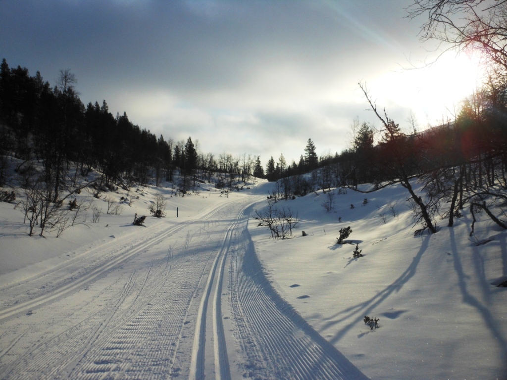 Fotografías Laponia Finlandesa (Marzo&nbsp;2014)