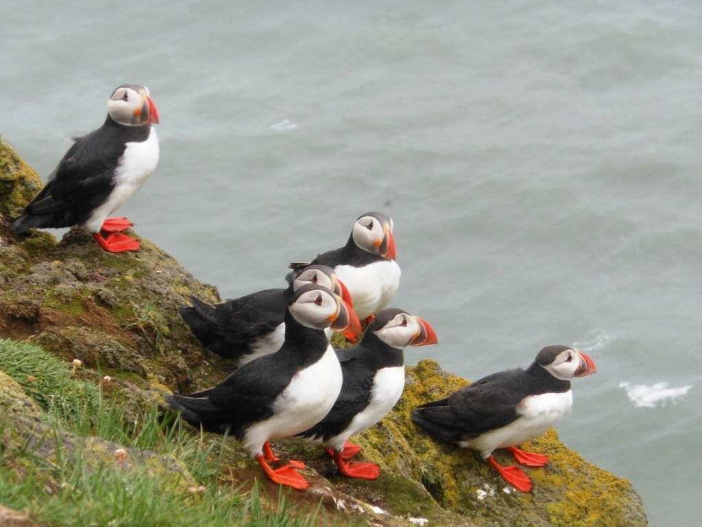 Fotografías Islandia (Julio&nbsp;2013)