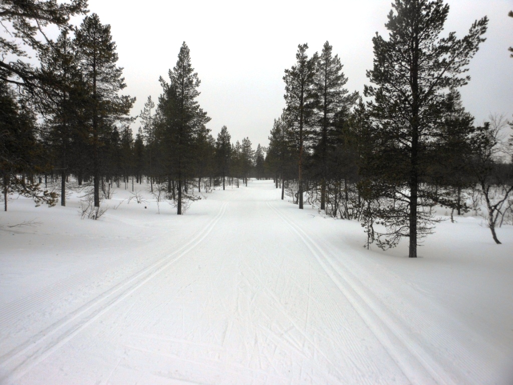 Esquí de Fondo – Laponia 2014 – Día&nbsp;1