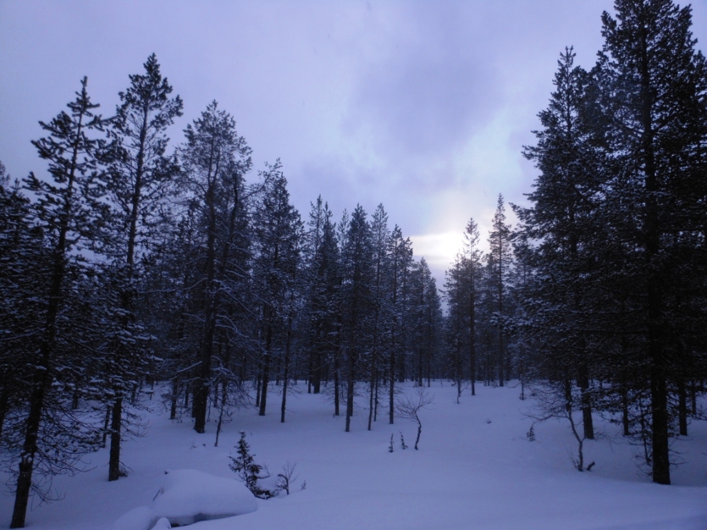 Esquí de Fondo – Laponia 2014 – Días 2 y&nbsp;3