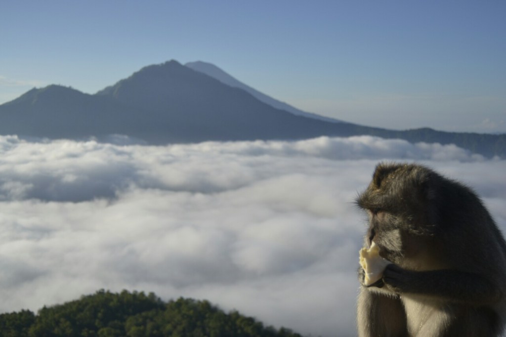 Indonesia 2016 – Etapa 4 – Bali Norte (Días 12, 13 y&nbsp;14)