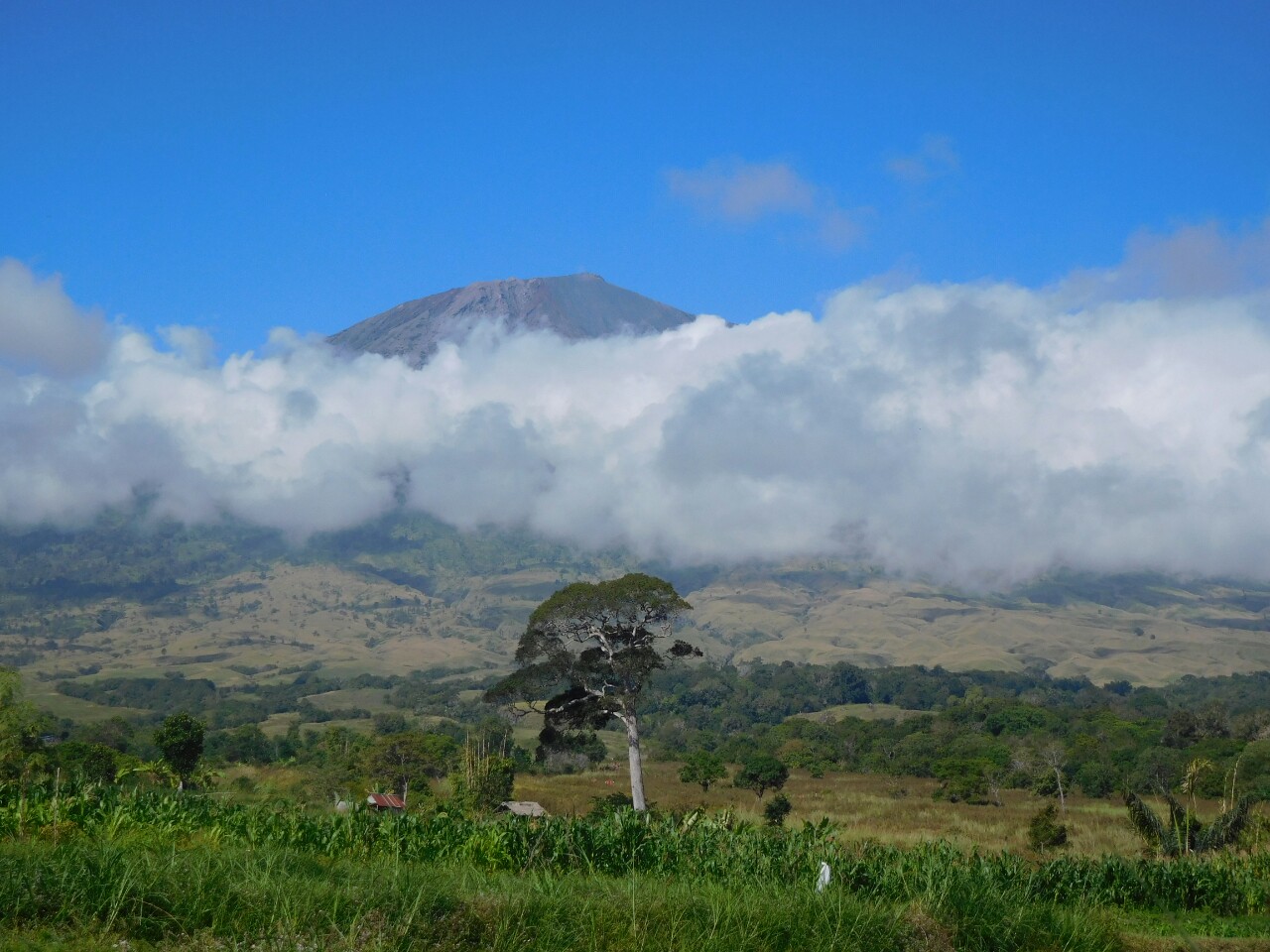 2016-07-gunung-rinjani-02.JPG