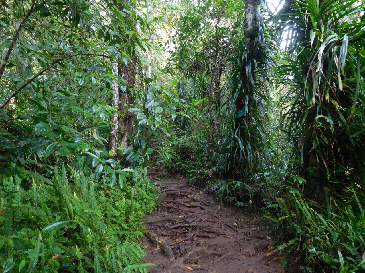 2016-07-gunung-rinjani-45