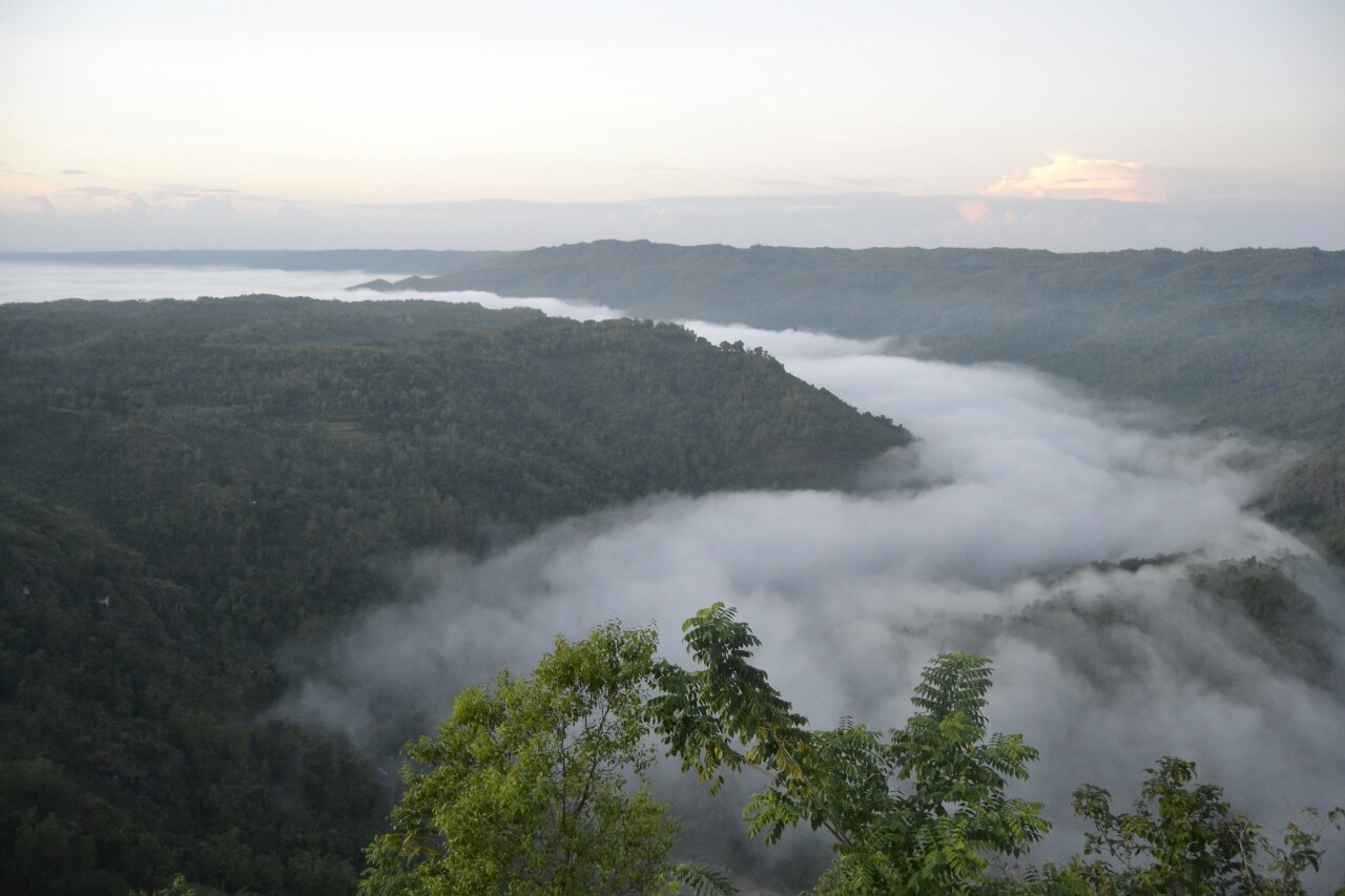 2016-07-kebun-buah-mangunan-04