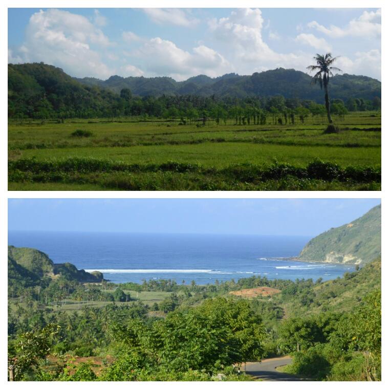 2016-07-lombok-conduciendo