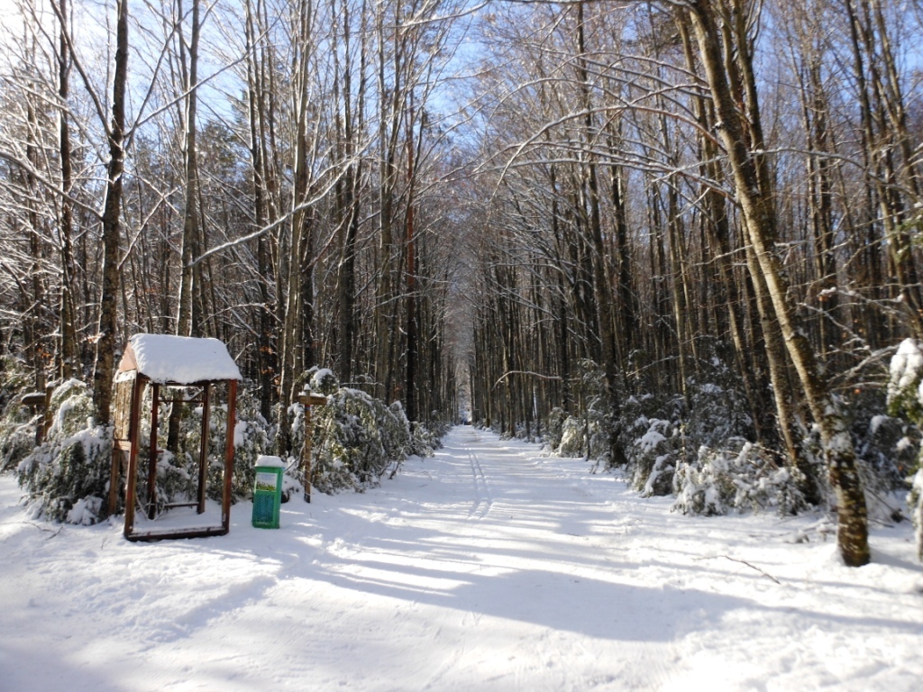 Esquí en Mata de Haya – Valle de Belagua&nbsp;(Navarra)