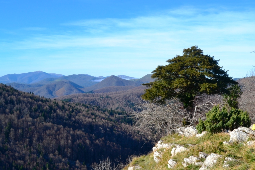 Dos Recorridos por La Selva de&nbsp;Irati