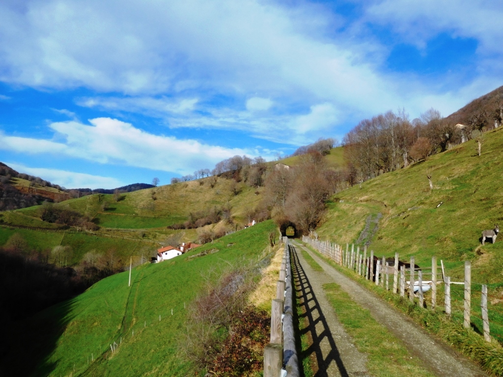 Aralar: Agua y&nbsp;Piedra