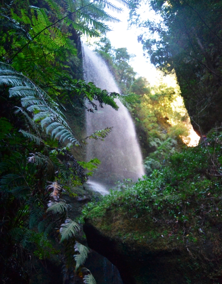 2017-01-la-palma-cascada-los-tilos-4.JPG