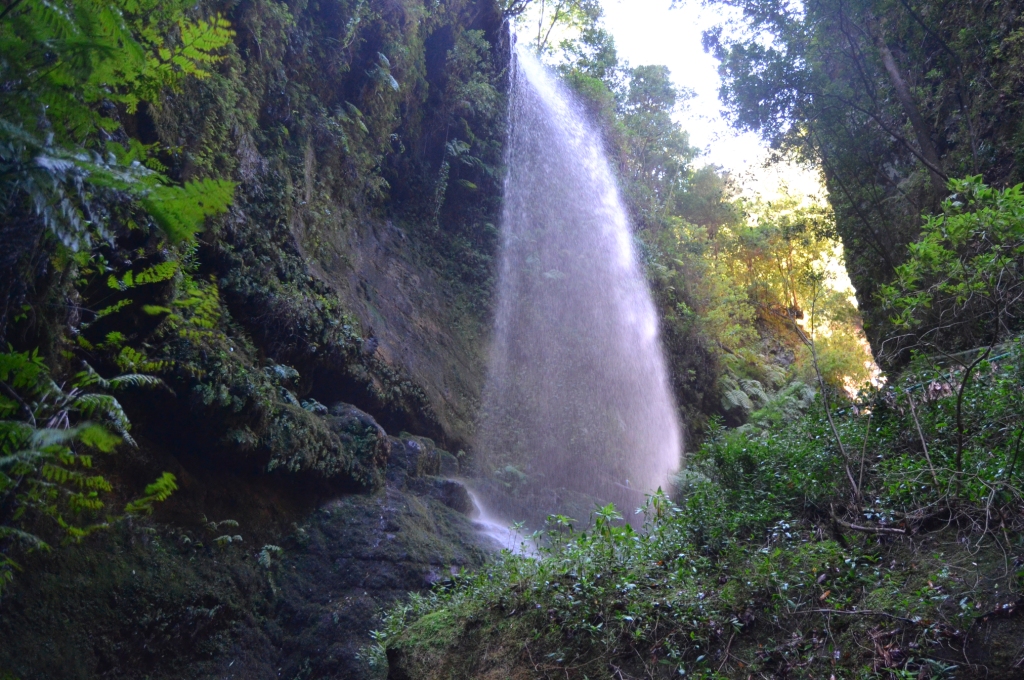 2017-01-la-palma-cascada-los-tilos-5.JPG