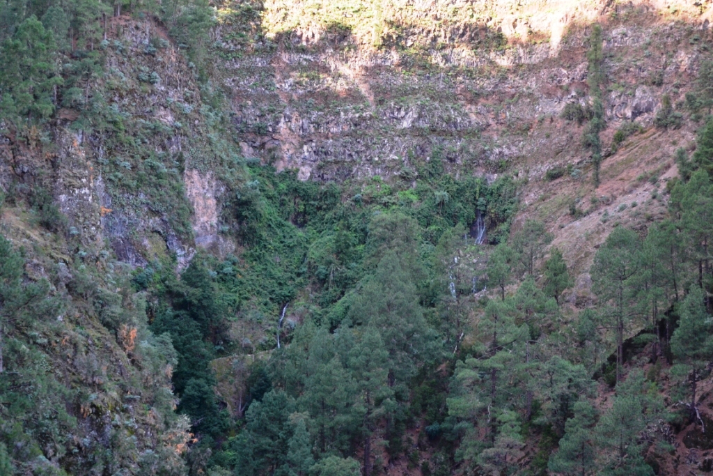 2017-01-la-palma-marcos-y-cordero-naciente-marcos-3