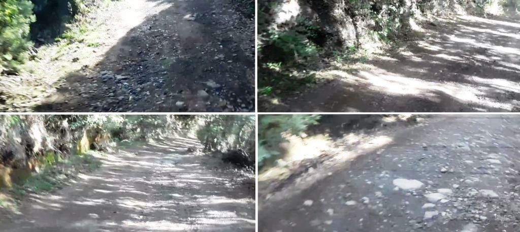 2017-01-la-palma-marcos-y-cordero-pista-a-casa-de-monte