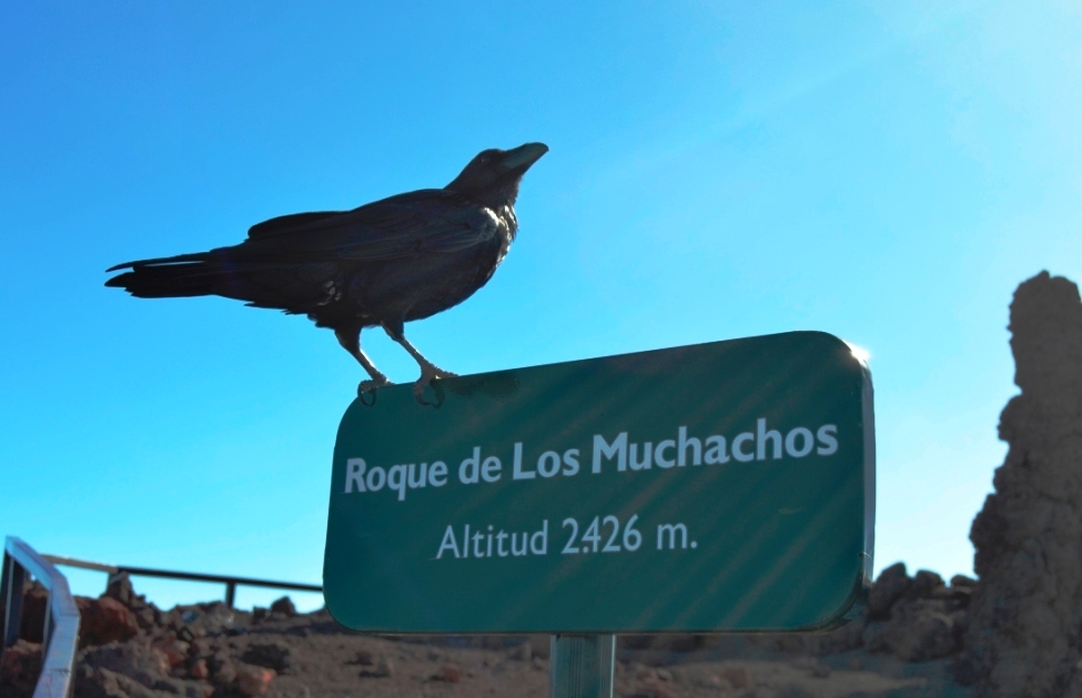 La Palma 2017 – Pequeñas Rutas&nbsp;Naturales