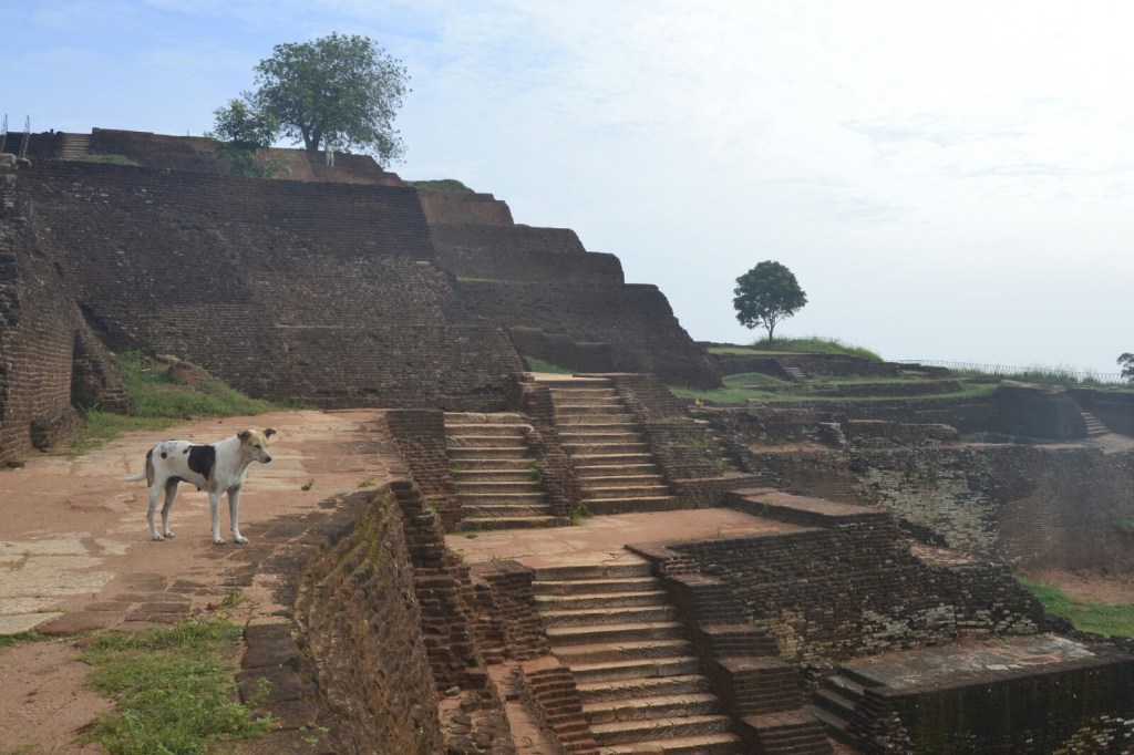 Fotografías Sri Lanka (Febrero 2017) –&nbsp;Templos