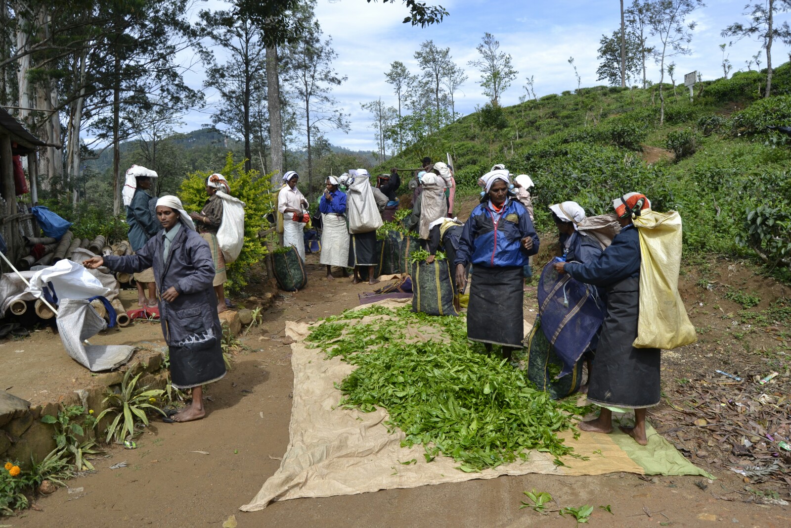 2017-02-sri-lanka-ella-9-arch-bridge-5
