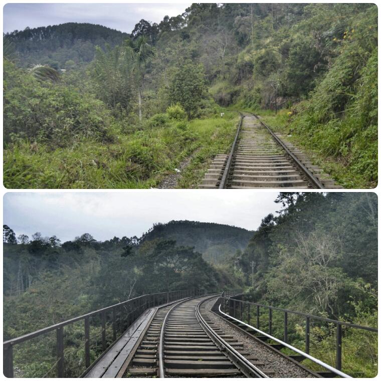 2017-02-sri-lanka-ella-ella-rock-1