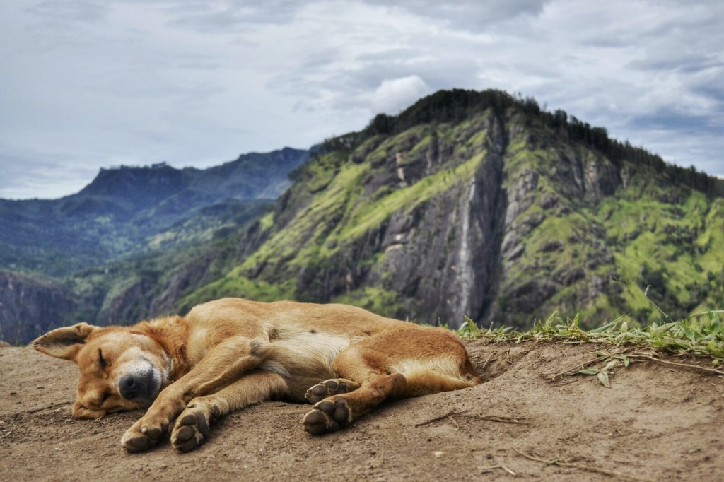 Sri Lanka 2017 – Etapa 2 – Las Montañas y El Hype de&nbsp;Ella