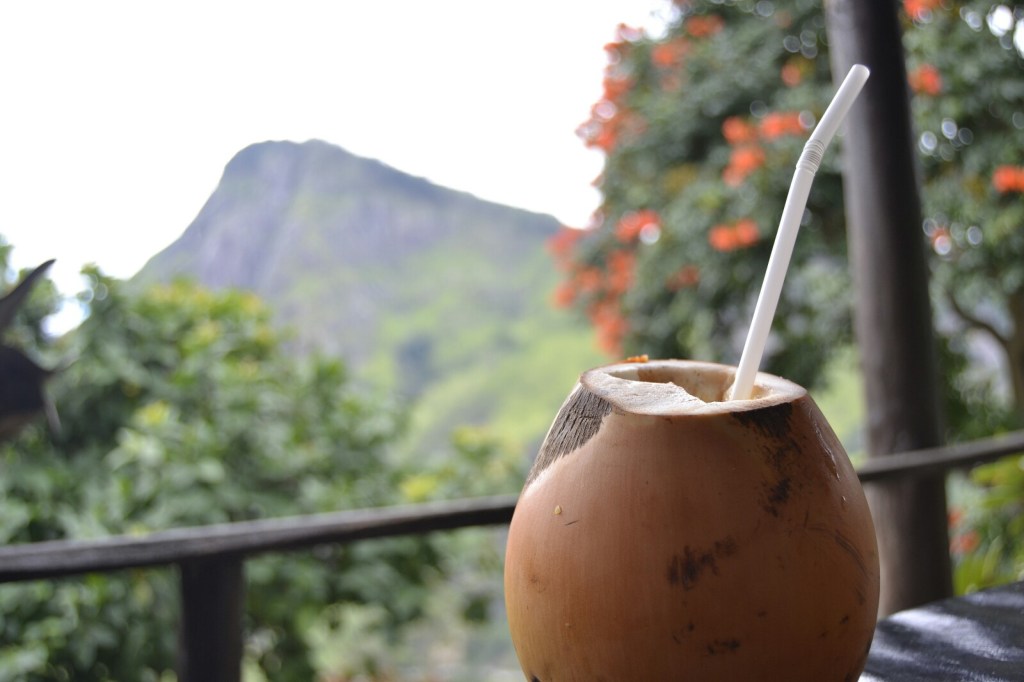 Fotografías Sri Lanka (Febrero 2017) –&nbsp;Naturaleza