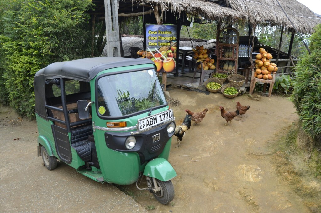 Sri Lanka (Febrero&nbsp;2017)