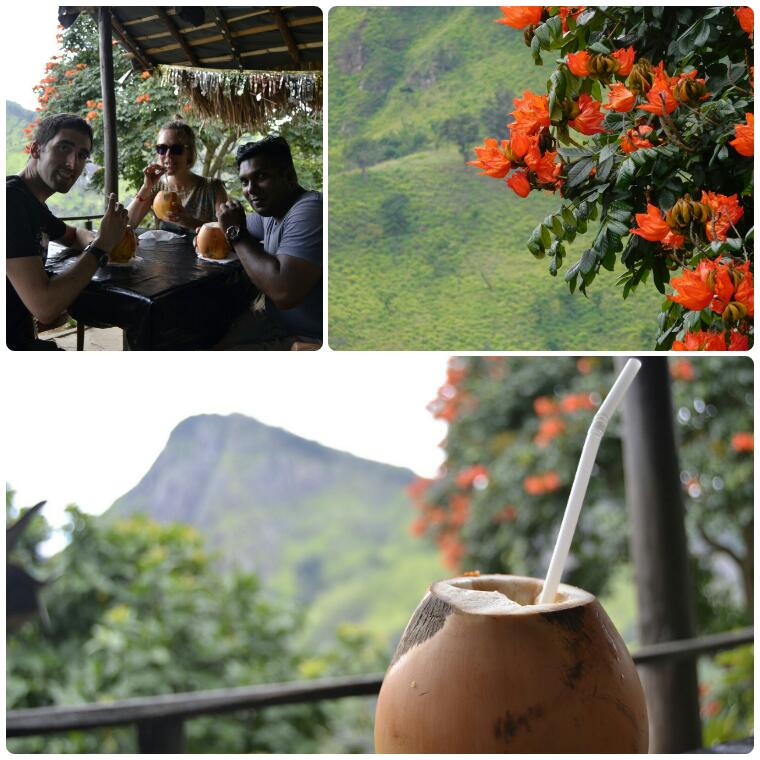 2017-02-sri-lanka-ella-little-adams-peak-zumos.jpg