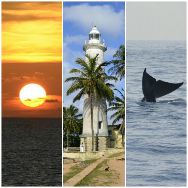 Sri Lanka 2017 – Etapa 3 – De Turismo en La Costa&nbsp;Sudoeste