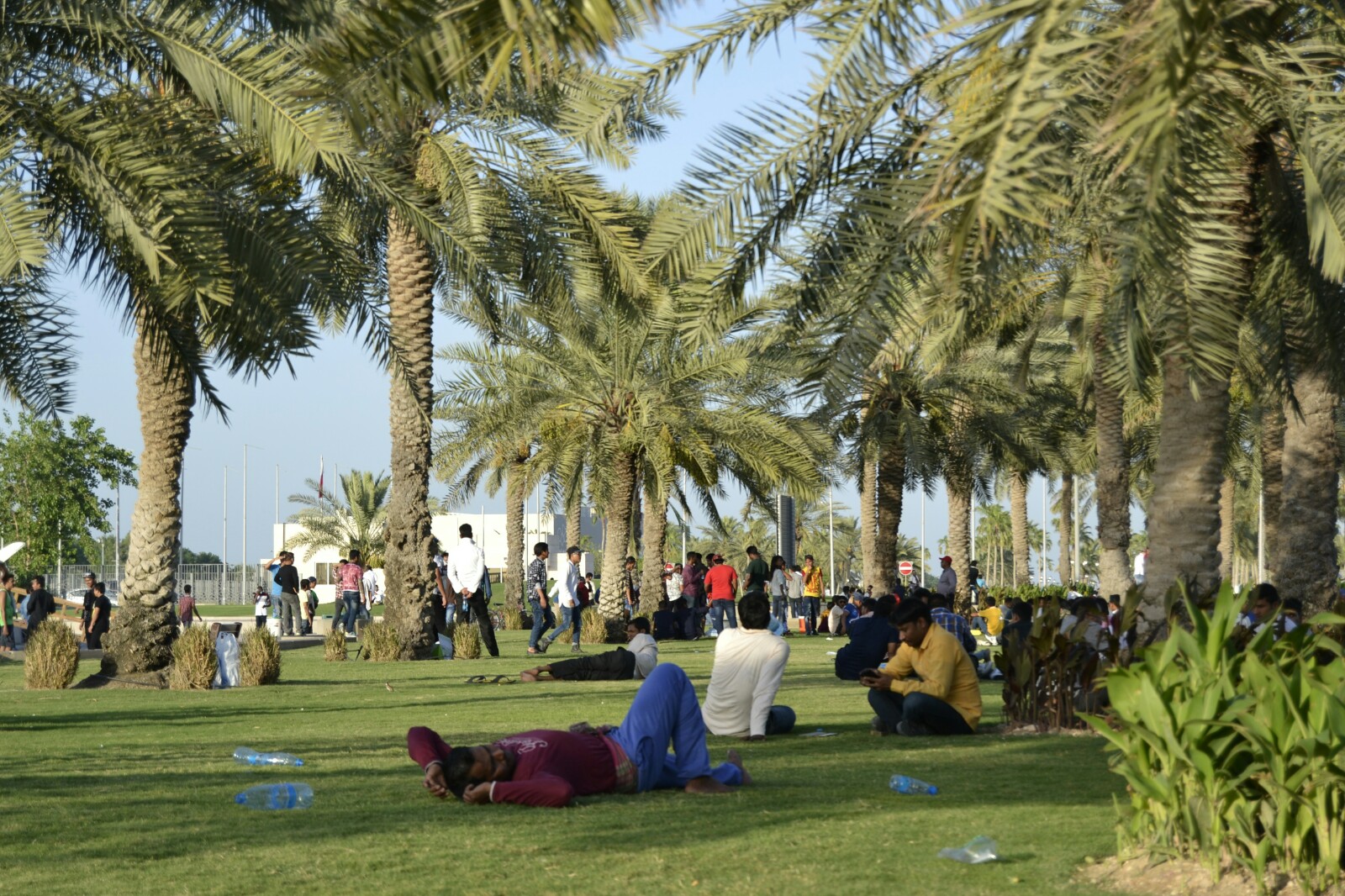 2017-06-qatar-doha-corniche-botellon