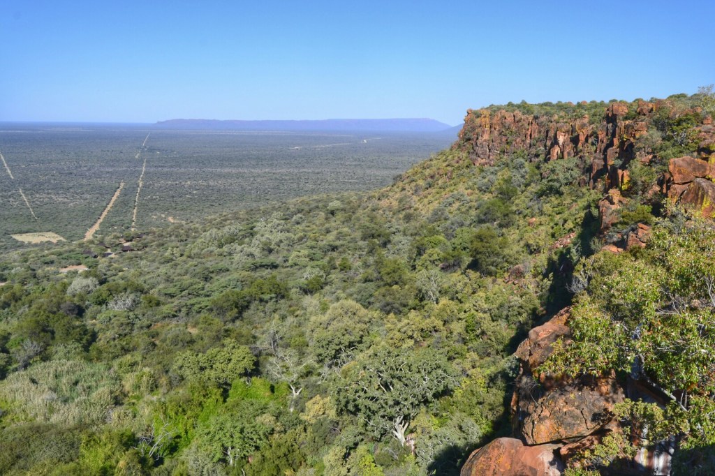 Namibia 2017 – Etapa 2 – Waterberg Plateau: Y De Repente…&nbsp;¡Verde!