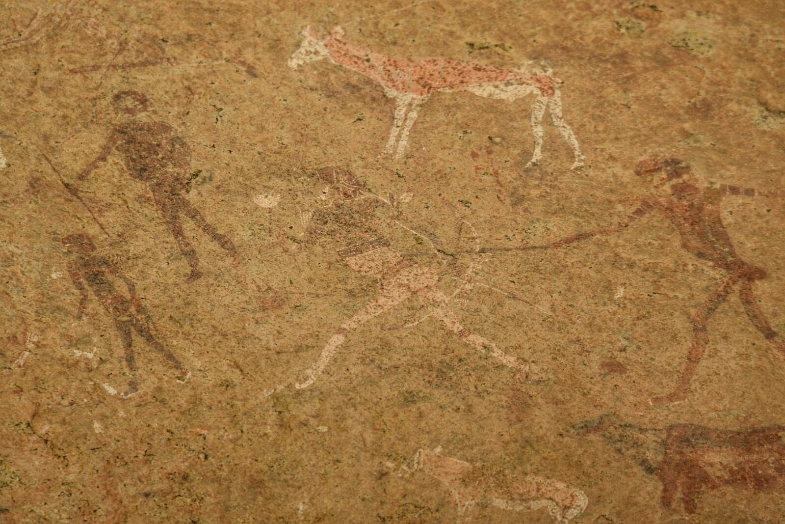 2017-06-namibia-brandberg-white-lady-10-pinturas