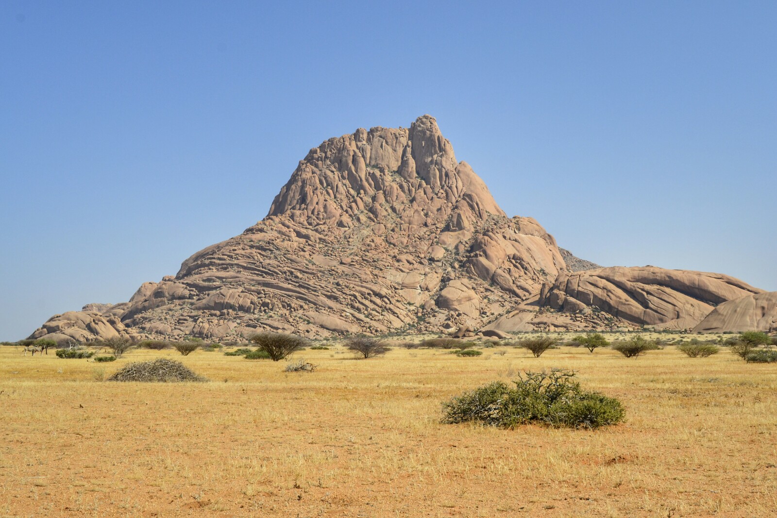 2017-06-namibia-spitzkoppe-golden-snake-04-Gross-Spitzkoppe