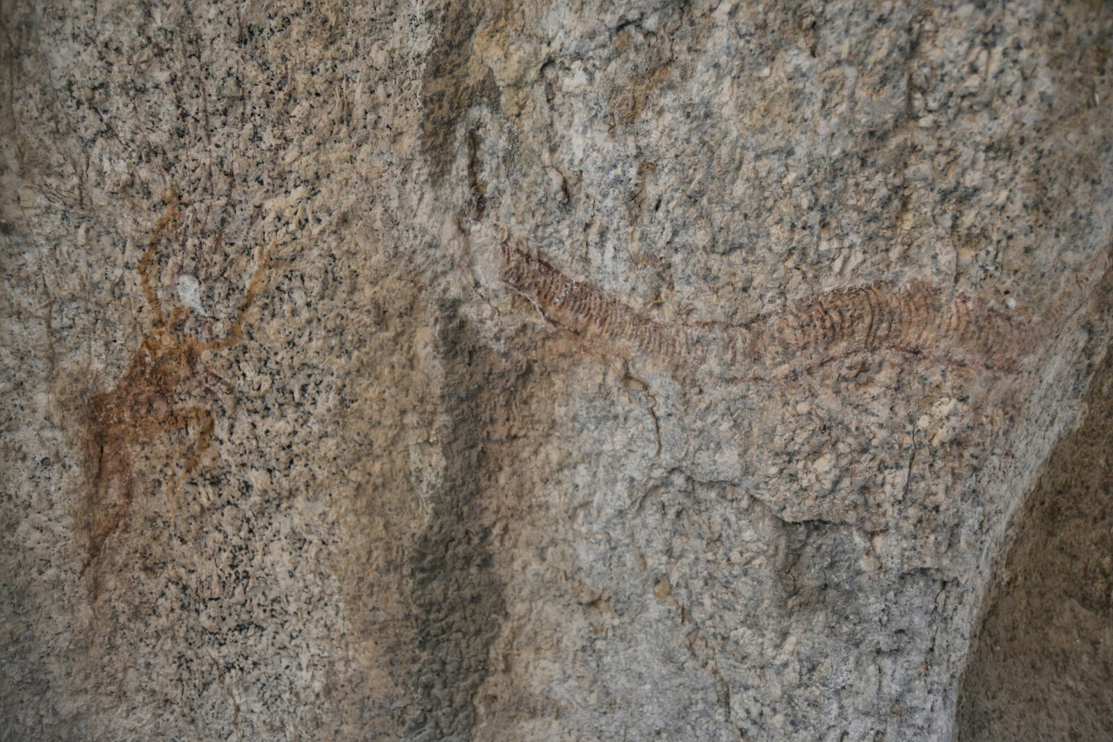 2017-06-namibia-spitzkoppe-golden-snake-05-golden-snake