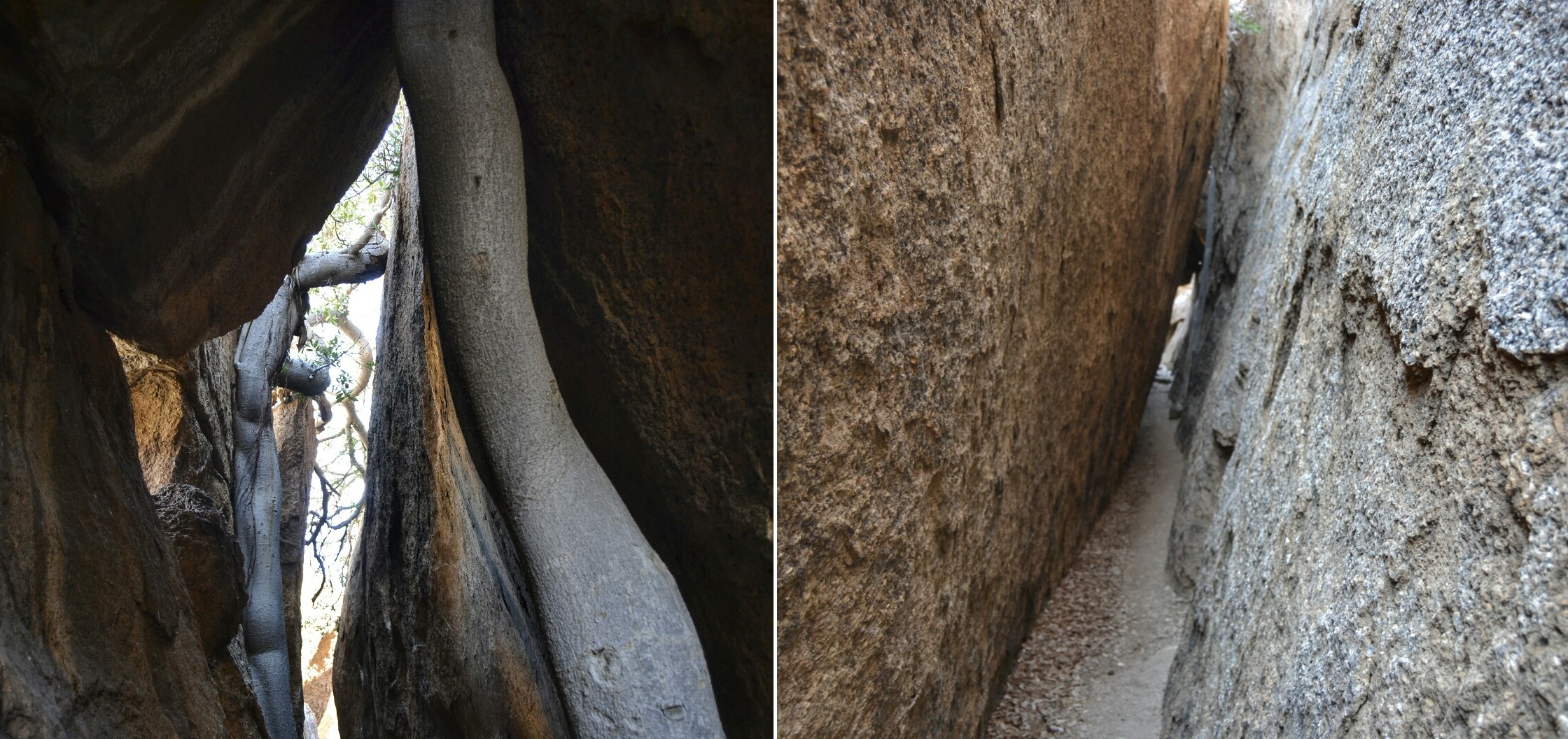 2017-06-namibia-spitzkoppe-golden-snake-06-cueva