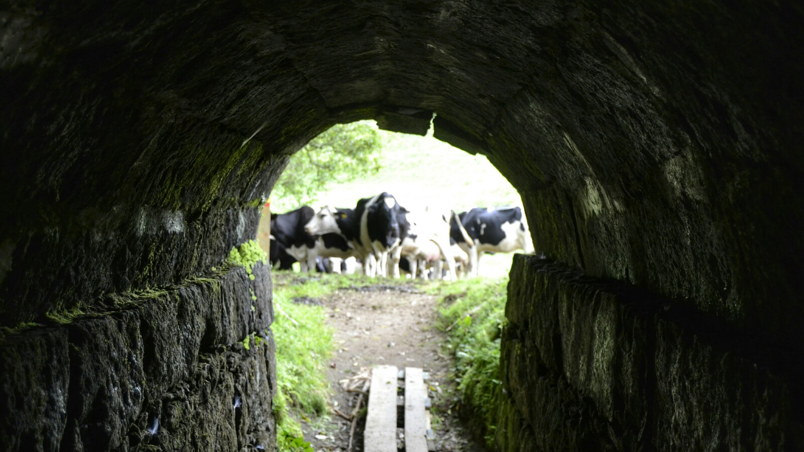 2017-07-azores-sao-miguel-rota-da-agua-janela-do-inferno-14
