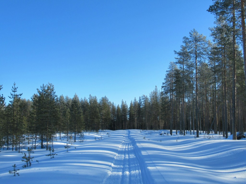Esquí de Fondo – Finlandia 2019 – Etapa 2: Rajakartano-Kovavaara
