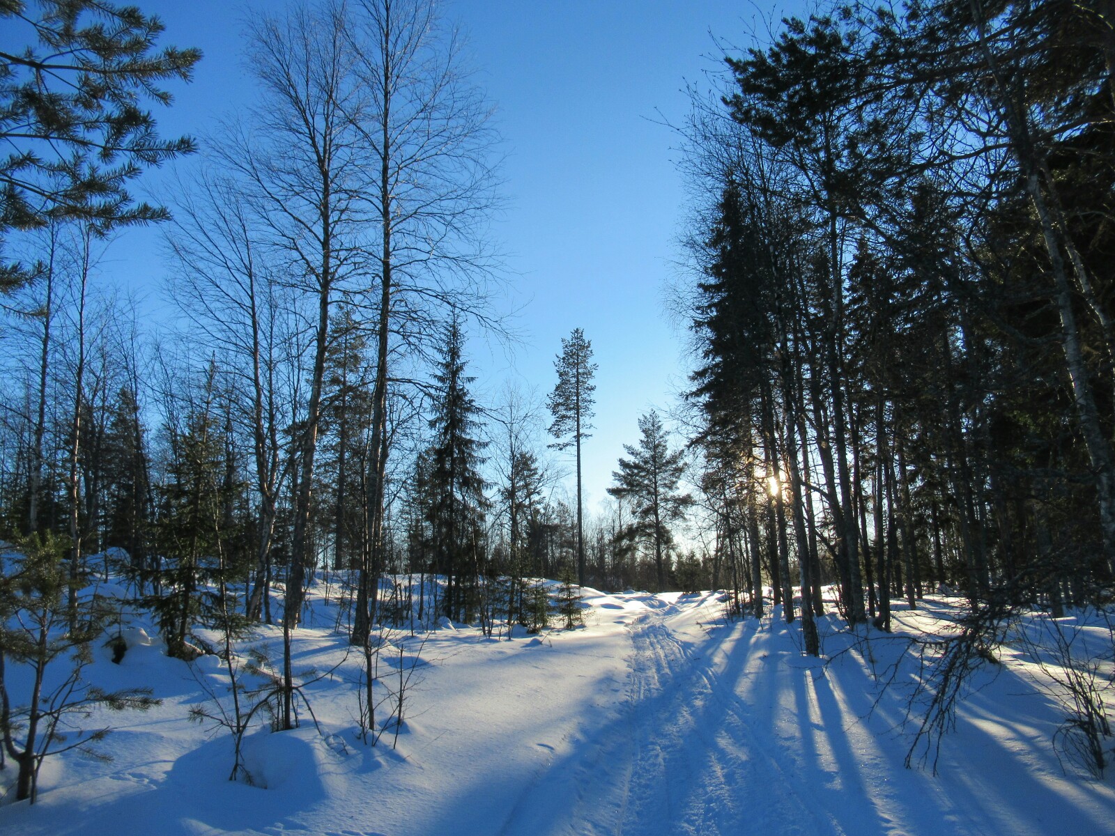 2019-03-finlandia-dia-2-28-hacia-kovavaara.jpeg