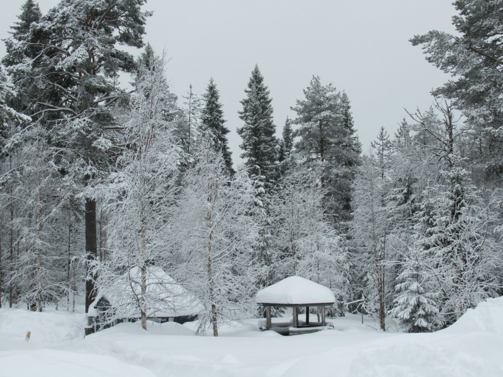 Fotografías Finlandia: Hossa-Martinselkonen (Marzo&nbsp;2019)