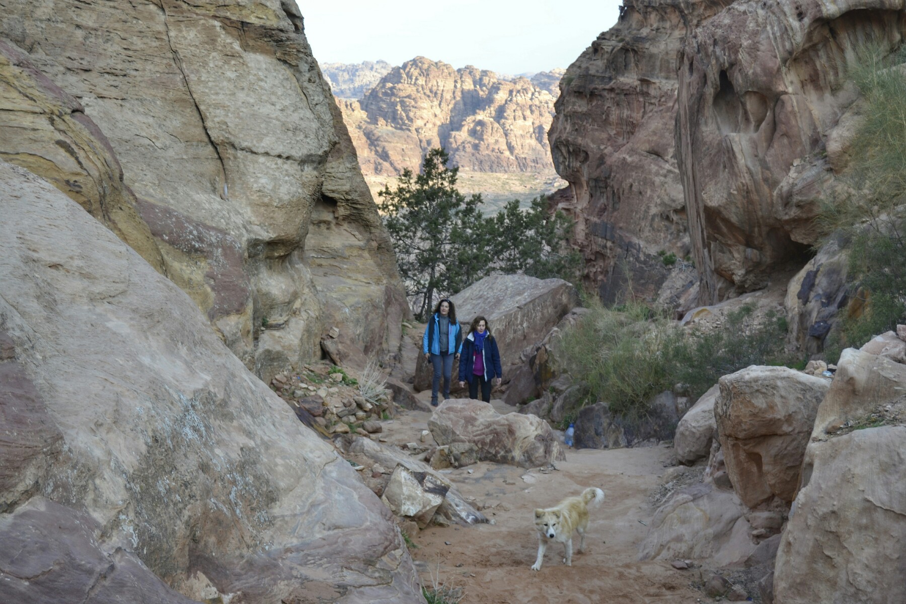 2018-12-jordania-petra-alto-del-sacrificio-03-subida.jpeg