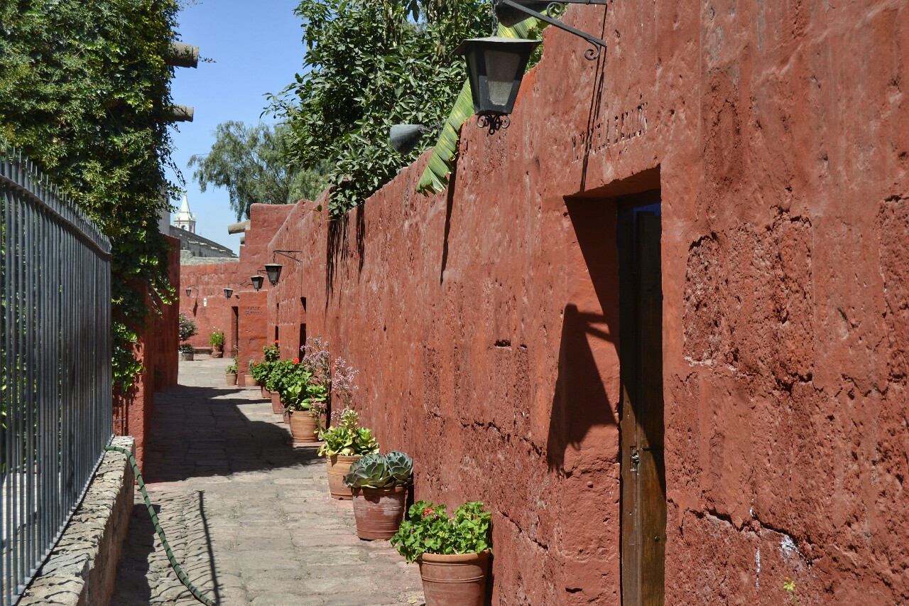 2019-08-peru-arequipa-convento-santa-catalina-14-calle-burgos