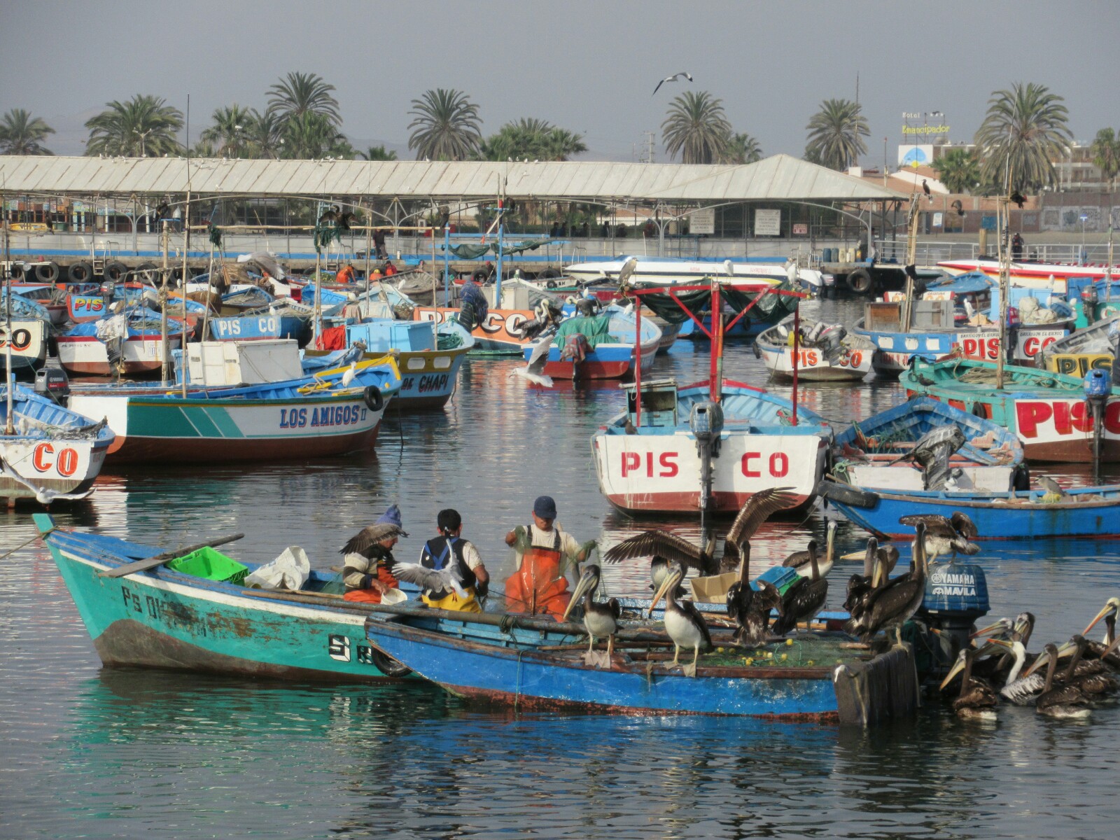 2019-08-peru-tour-islas-ballestas-03-puerto