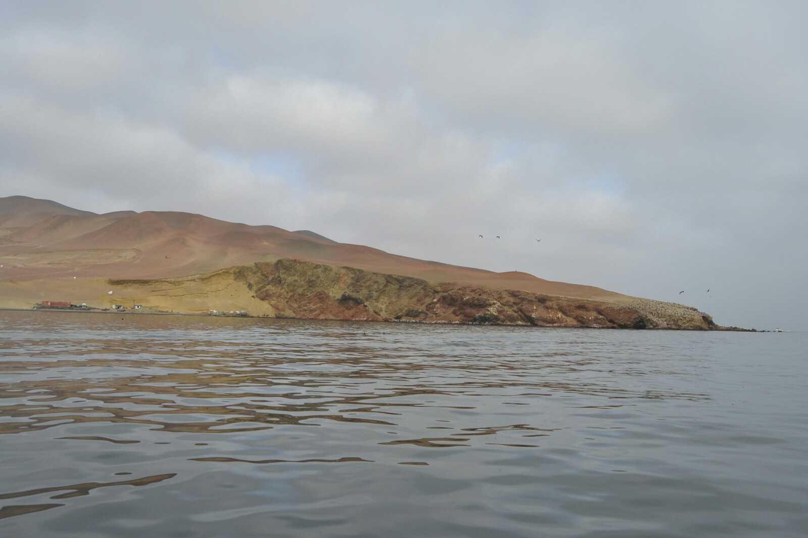 2019-08-peru-tour-islas-ballestas-09-vistas-paracas