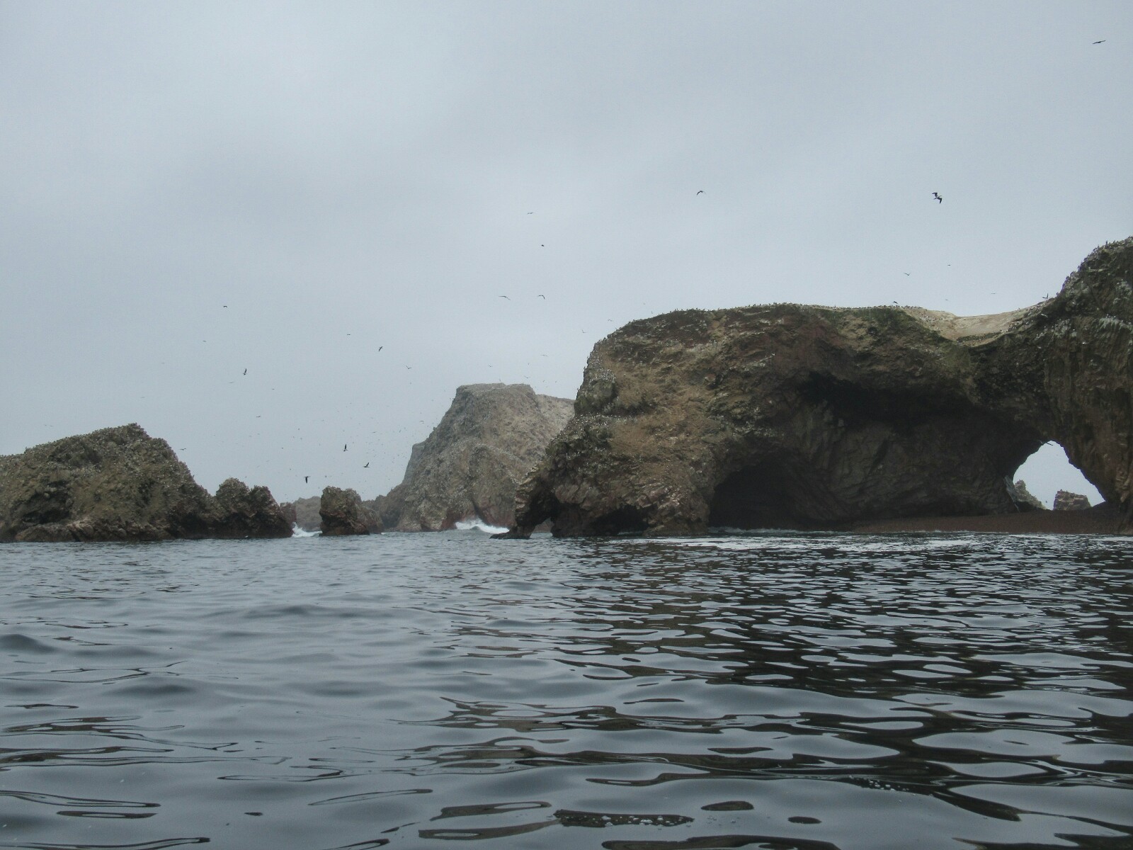 2019-08-peru-tour-islas-ballestas-12-llegando-islas