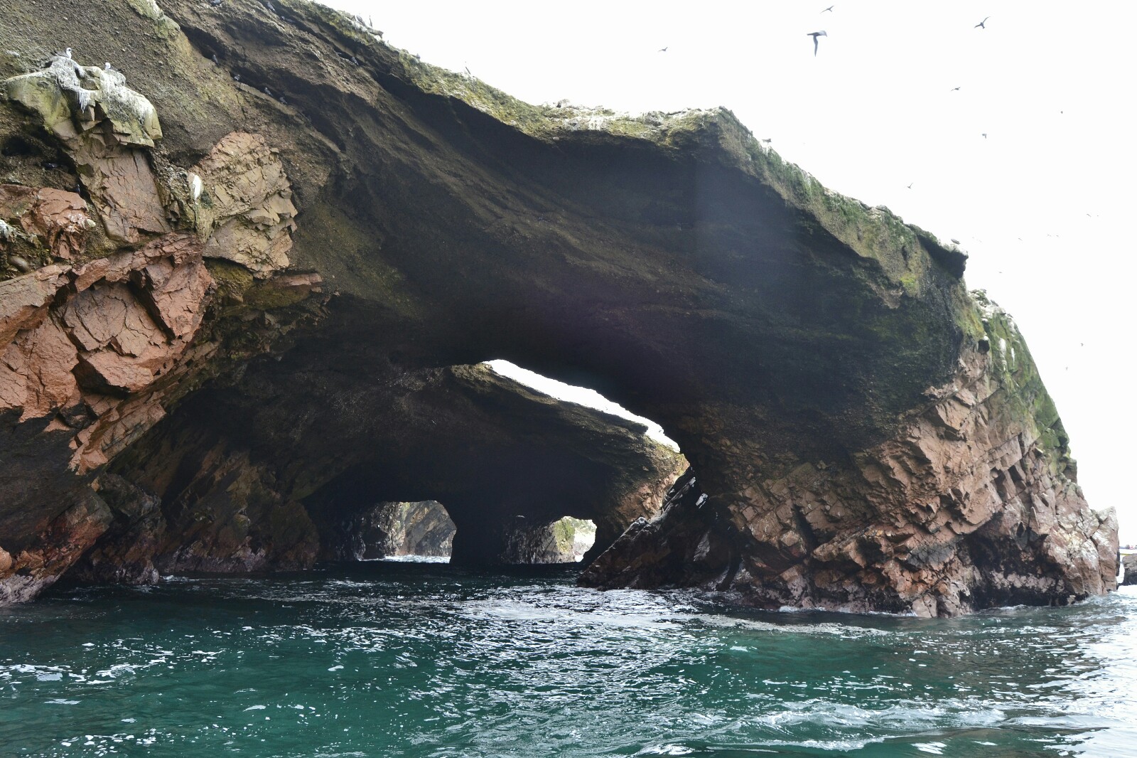 2019-08-peru-tour-islas-ballestas-13-las-islas
