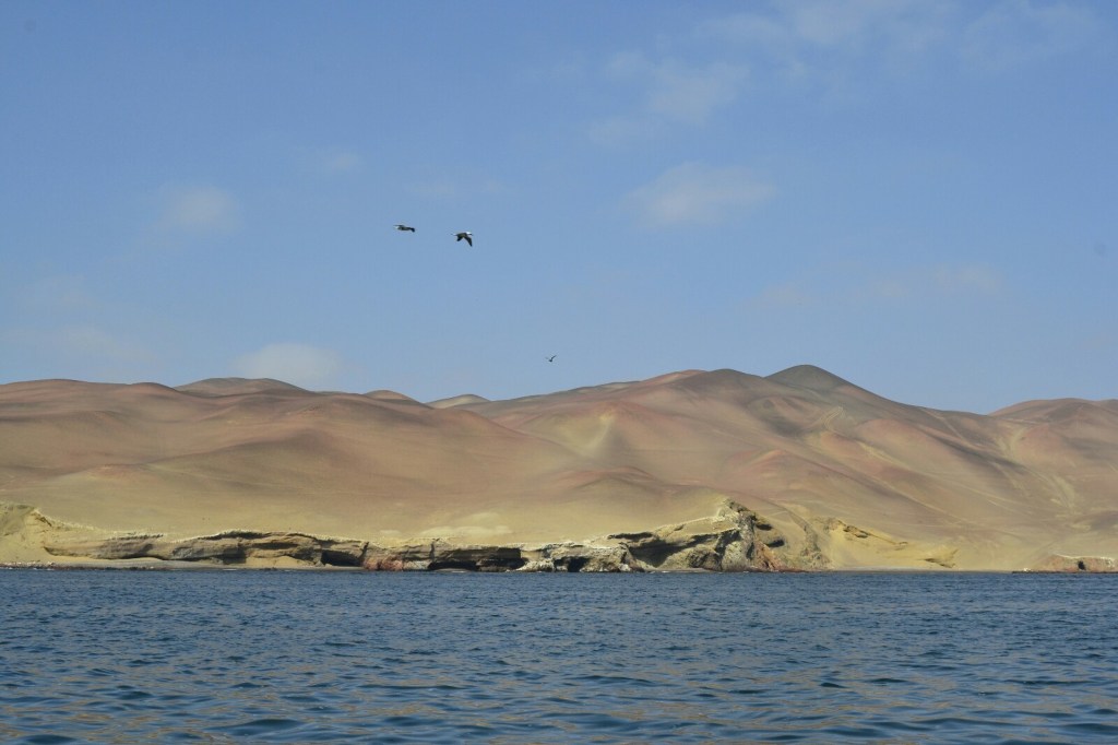 Perú 2019 – Etapa 1 – Lima La Gris, Animales, Guano, Mar y&nbsp;Desierto
