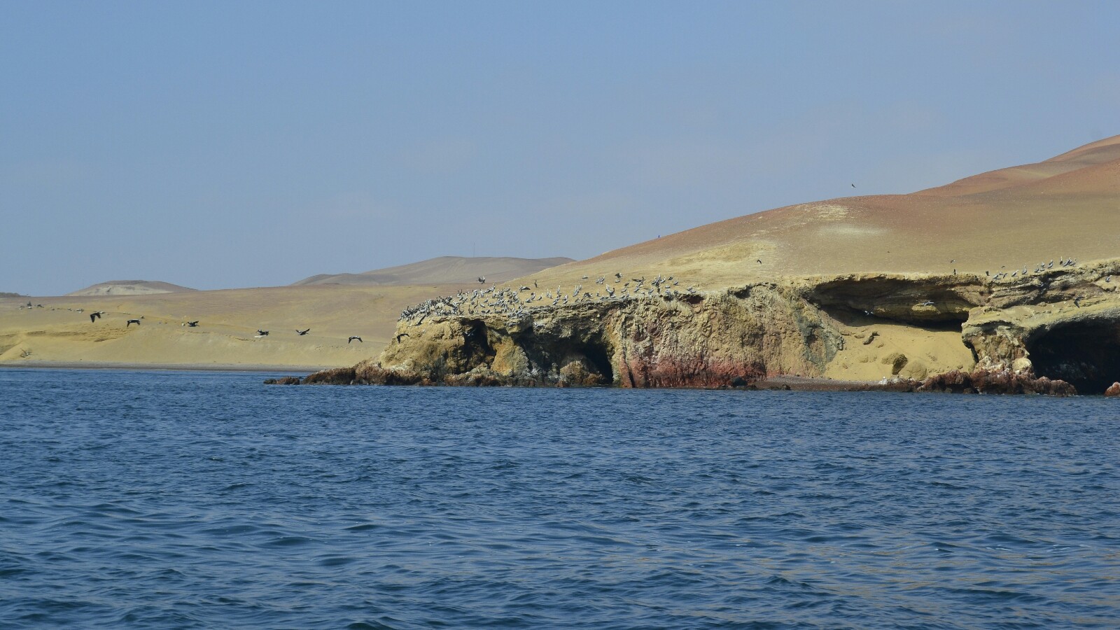 2019-08-peru-tour-islas-ballestas-33-vistas-paracas