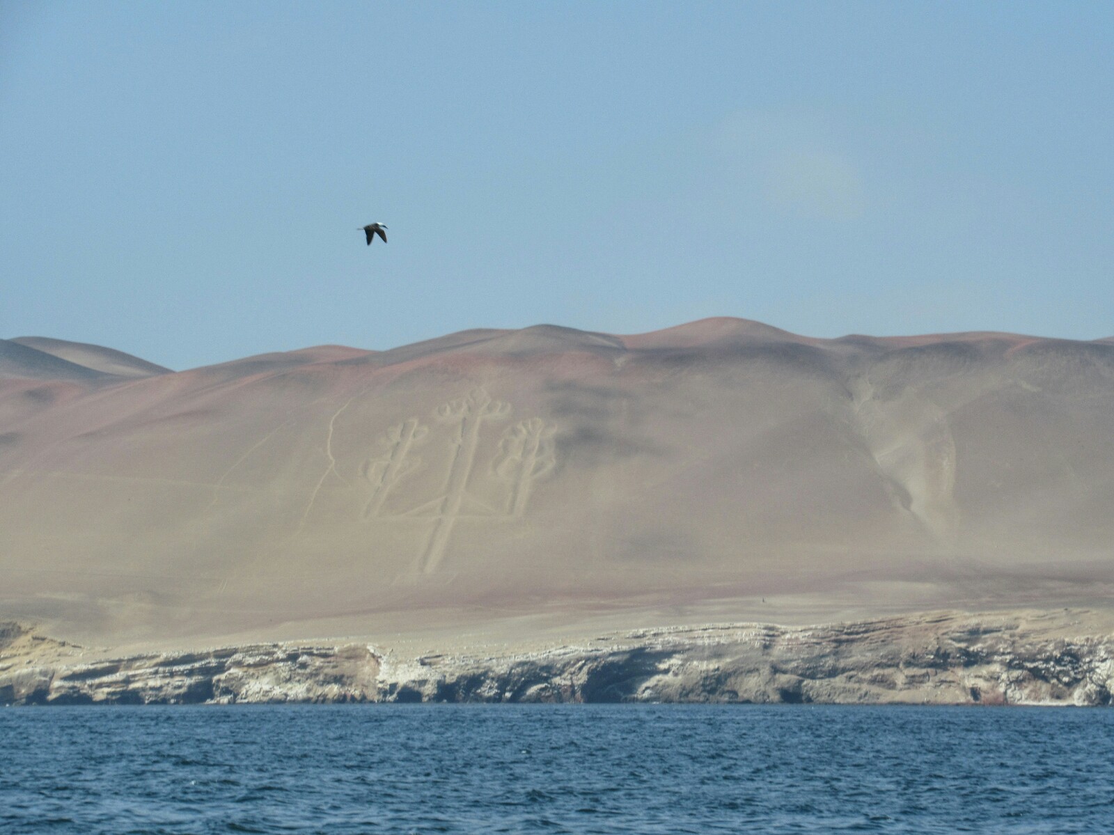 2019-08-peru-tour-islas-ballestas-34-candelabro