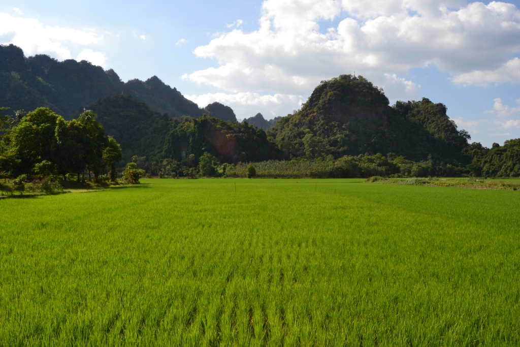 Fotografías Myanmar (Noviembre 2019) –&nbsp;Naturaleza