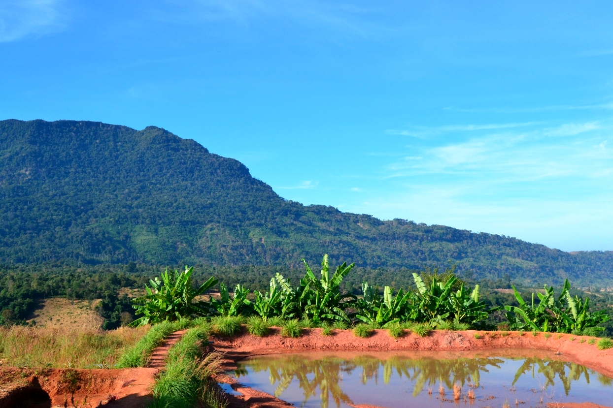 2019-12-laos-bolaven-plateau-dia-2-03-kok-phount-tai-captain-hook