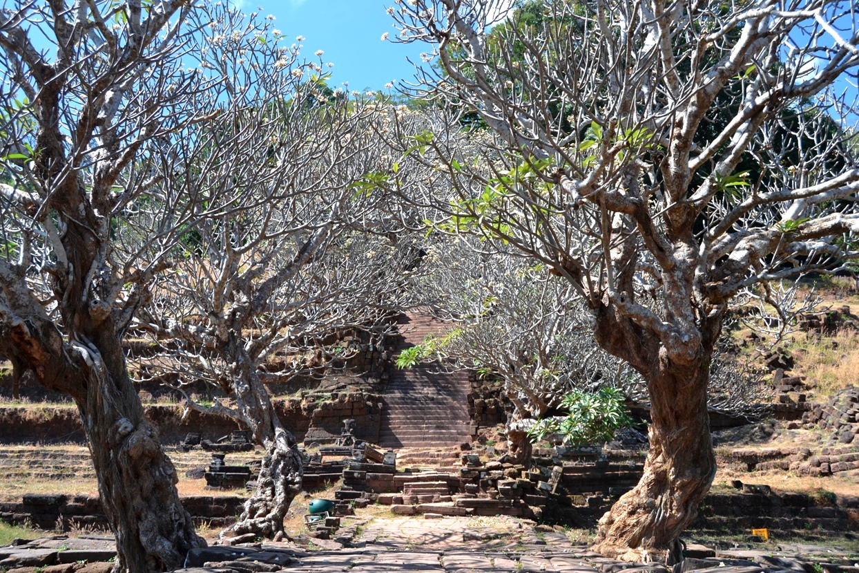 2019-12-laos-champasak-vat-phou-10