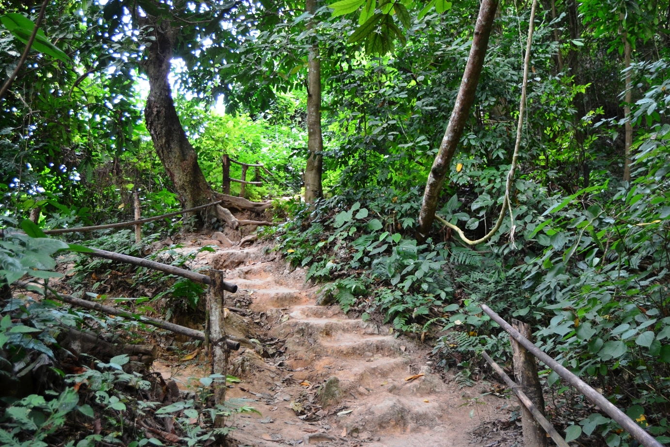 2019-12-laos-kuang-si-01-subida