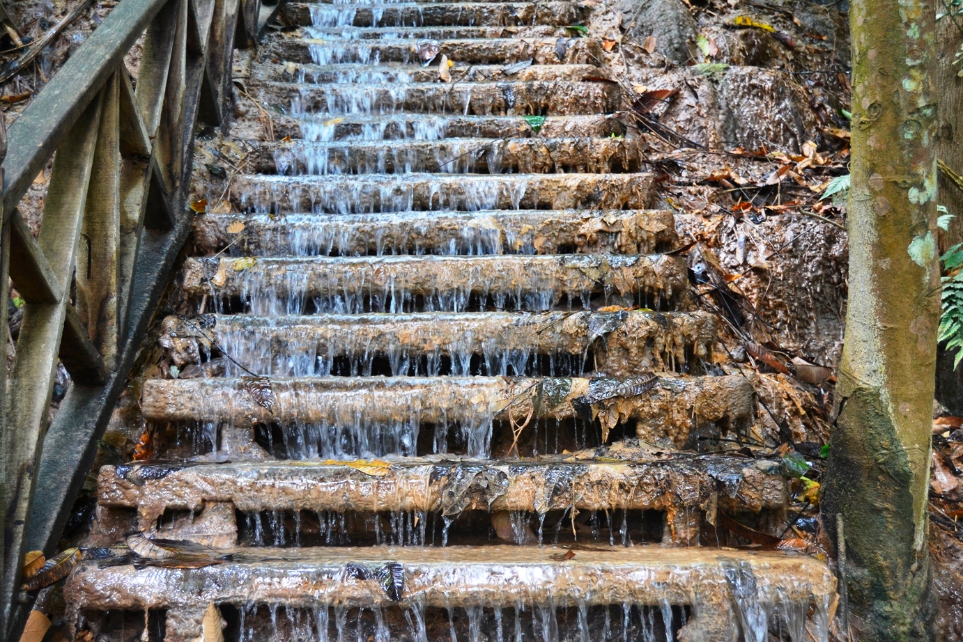 2019-12-laos-kuang-si-03-subida