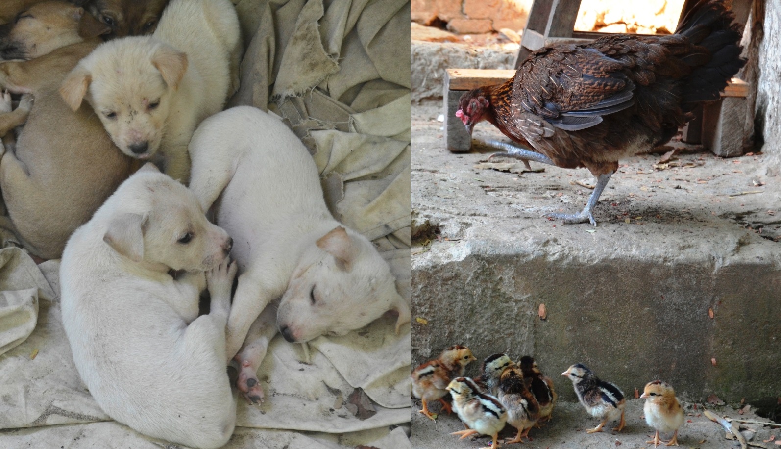 2019-12-laos-luang-prabang-chomphet-7-xieng-men